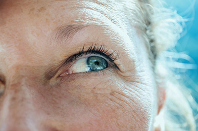 Main Street Eye Care | Pediatric Eye Care, Optical Department and Macular Degeneration